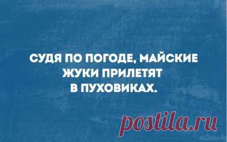 20 юмористических открыток на каждый день с очень полезными наблюдениями