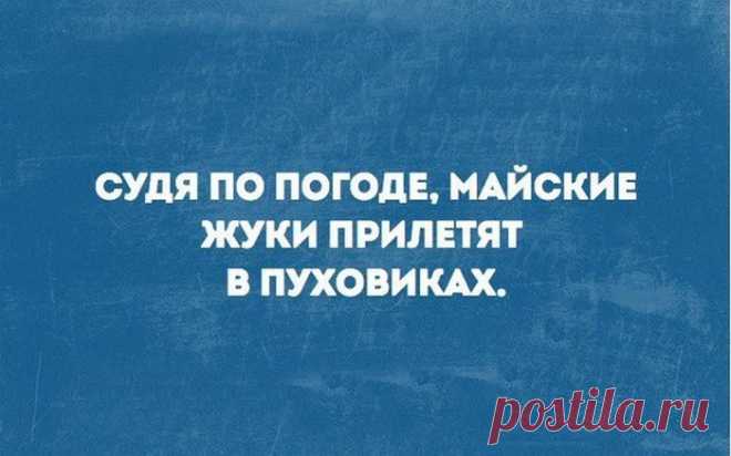 20 юмористических открыток на каждый день с очень полезными наблюдениями