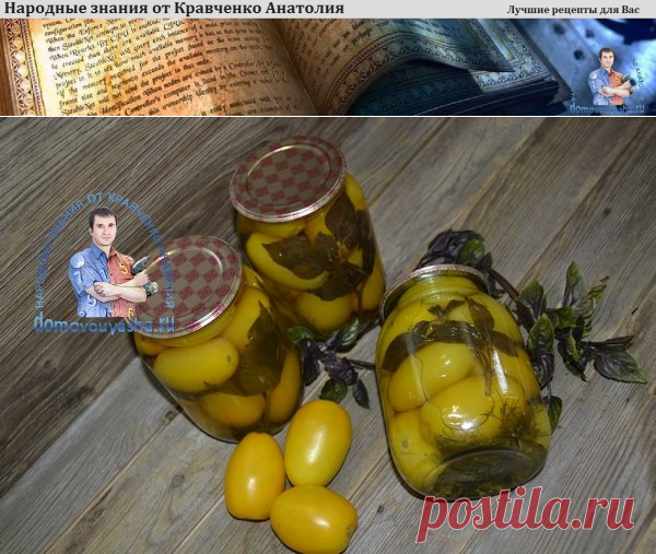 Желтые помидоры на зиму: самый вкусный рецепт который я когда либо пробовала | Народные знания от Кравченко Анатолия
