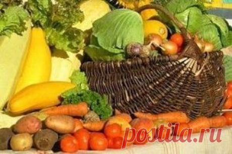 Какие продукты необходимо употреблять осенью | Все о продуктах | Само Совершенство