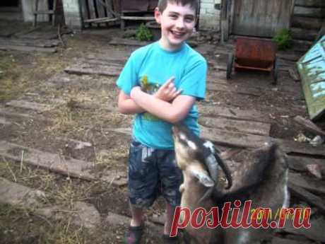 Ефаево слайд шоу