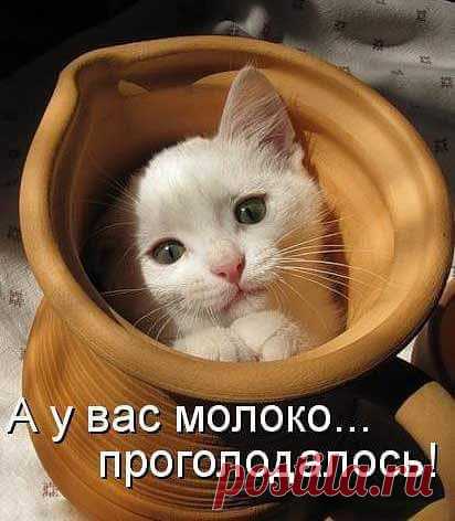 Интересные новости