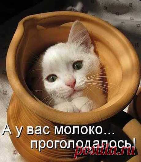 Интересные новости