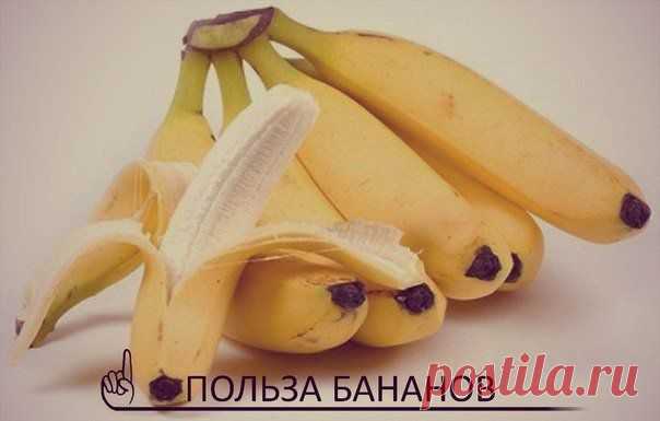 ЧЕМ ПОЛЕЗНЫ БАНАНЫ ИЛИ 22 ПРИЧИНЫ ЛЮБИТЬ ИХ | Хитрости Жизни