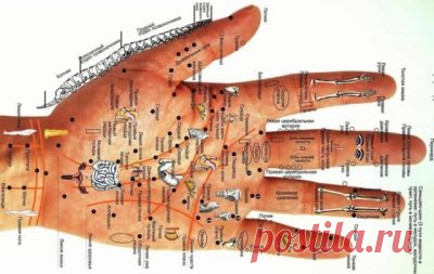 Узнайте свои болезни по рукам