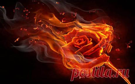 Комментарий Д. Сандакова к рассказу «Роза Парацельса» Эмоции, эмоции, эмоции. Нет больше Учителя, нет больше Ученика. Есть охваченные азартом игроки. Спор двух людей. Философский покер.