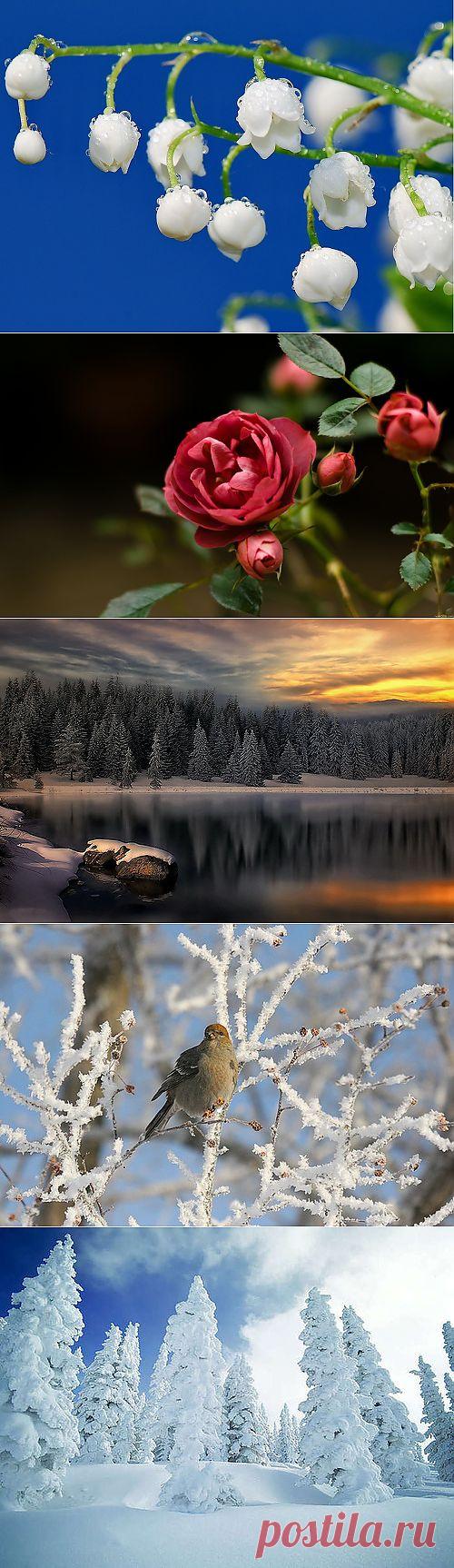 ОБОИ | Записи в рубрике ОБОИ | Дневник wella