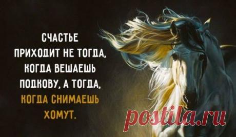 Счастье приходит не тогда, когда вешаешь подкову...
