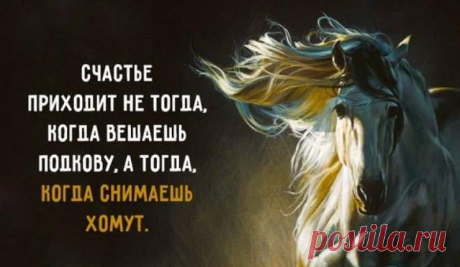Счастье приходит не тогда, когда вешаешь подкову...