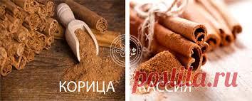 8 причин добавлять в еду корицу