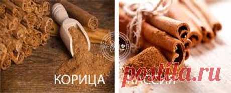 8 причин добавлять в еду корицу
