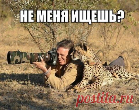 Развеять тоску? Легко! Посмотри эти фото)))))