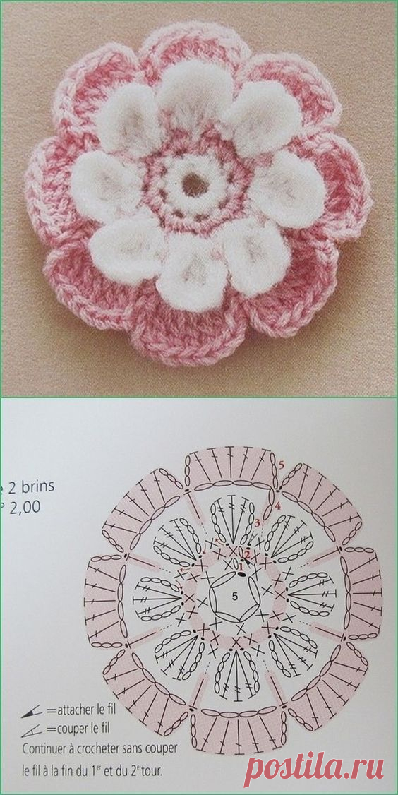 (3) Pinterest