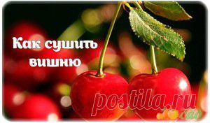Трагедия маленького сепаратиста | Ваше мнение