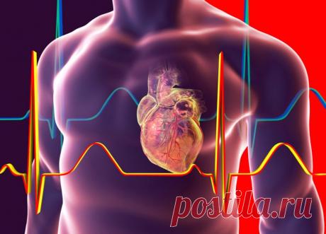 Что нужно знать об аритмии / Будьте здоровы