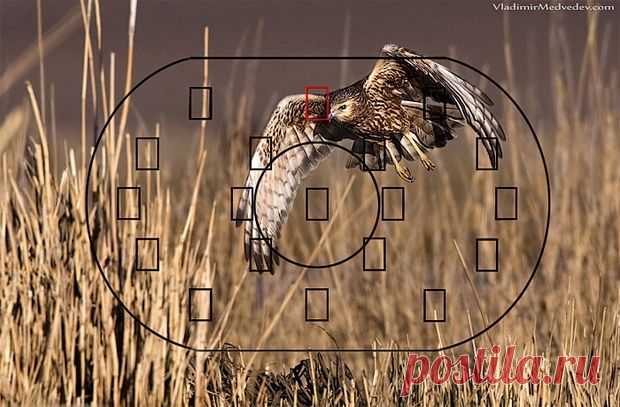 Два фактора правильной фокусировки