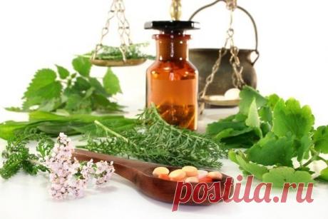 Невероятно эффективный рецепт народной медицины!

Он поможет приблизить артериальное давление к нормальным показателям как минимум на пару лет. И к тому же он не стоит ни копейки.

Рецепт.

* Возьмите 5 ст. ложек хвои сосны, 2 ст. ложки плодов шиповника и 2 ст. ложки луковой шелухи.
* Залейте 1 л холодной воды, доведите до кипения и варите на малом огне под крышкой 10 мин.
* Дайте настояться и процедите. Можно немного добавить воды.

Принимать полученный отвар в течении 2 ...