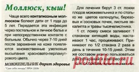 Контагиозный моллюск