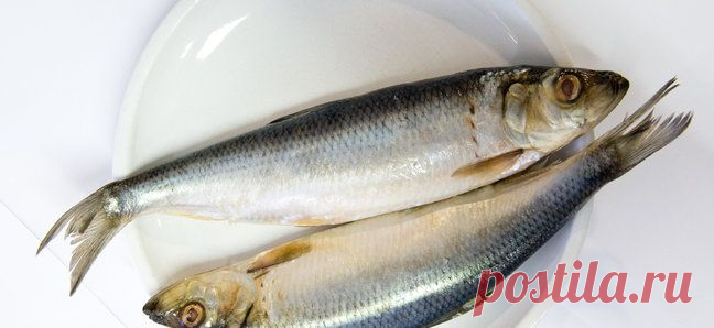 Вкусные рецепты