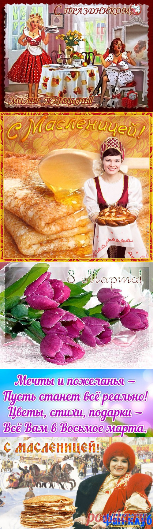 Светлана Болотова