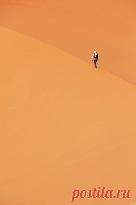 Lost in orange by yves L.