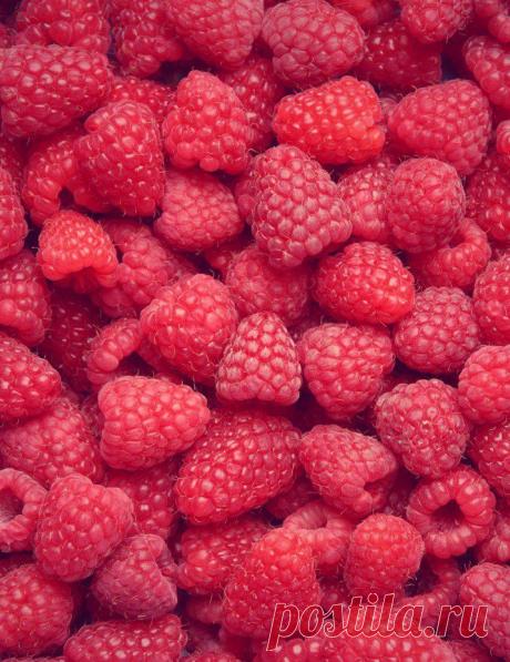 Малина обыкновенная — листопадный полукустарник с многолетним корневищем, из которого развиваются двухгодичные надземные стебли высотой 1,5—2,5 м.

Корневище извилистое, деревянистое, с множественными придаточными корнями, образующими мощную разветвлённую систему.

Стебли прямостоячие. Побеги первого года травянистые, зелёные с сизым налётом, сочные, покрыты тонкими, обычно частыми миниатюрными шипами.