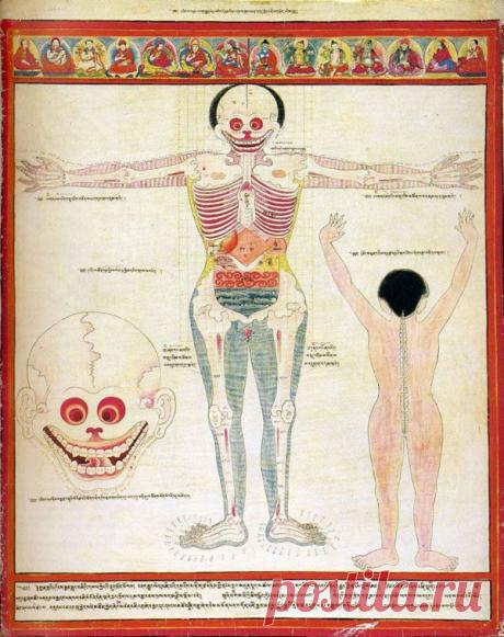 Тайны человеческого пульса | Я ЗДОРОВ!