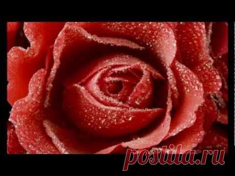 Просто розы и красивая музыка.И РОЗЫ И МУЗЫКА КЛАССНЫЕ.