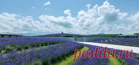 Саппоро: лучшие кладбища в мире – Варламов.ру