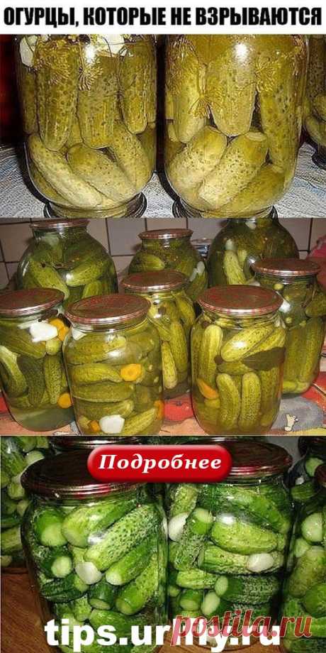 Как я консервирую огурцы, которые никогда не взрываются! Старинный рецепт моей семьи - tipso