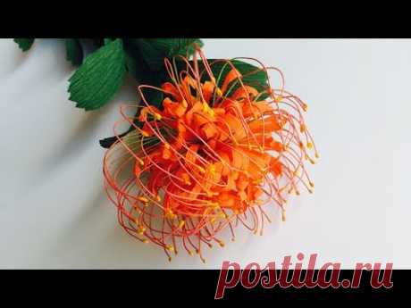 ABC TV | How To Make Leucospermum Paper Flower From Crepe Paper - Craft Tutorial