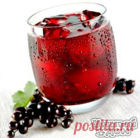 Домашнее вино из черной смородины!!! Ингредиенты 3 кг. черной смородины (не мыть, только перебрать) 3 кг. сахара 7 литров кипячёный воды ком. температуры 1 бутыль стеклянная на 10 литров 1 перчатка резиновая медицинская 40 см.резинки бельевой 1 черный пакет целлофановый – большой. Как приготовить Смородину измельчить в мясорубке, блендоре. Положить ягоды в бутыль, добавить сахар, влить воды до плечиков в бутыли оставив место для брожения…. Надеть резиновую перчатку на горлышко бутыли и…