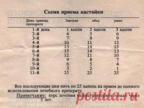 ПРИГОТОВЛЕНИЕ: 350 г чеснока мелко порезать и потолочь в деревянной посуде деревянной толкушкой. Отвесить 200 г этой массы (взять её снизу, где больше сока), положить в глиняный сосуд и долить туда 200 мл 70-градусного спирта. Сосуд плотно закрыть и хранить в тёмном месте 10 дней. После этого состав процедить через плотную ткань, остаток отжать.