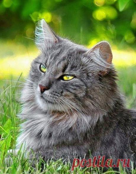 Мой Мир@Mail.Ru