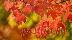 Старая разделочная доска и плитка - всё идет в дело / Поднос из кафельной плитки своими руками