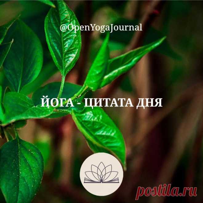 Человечество постоянно находится в поисках решений проблем мирового масштаба, которые возникают в самых разных сферах жизни. Среди них: плохая экология, войны, дефицит жизненных ресурсов, отсутствие взаимопонимания друг с другом и т.д. Одни говорят, что нужно методом силы восстанавливать справедливость, вершить правосудие и наказывать виновных. Другие считают, что не нужно ничего делать, всё само наладится. Цитата из статьи: Начни с себя и мир изменится!