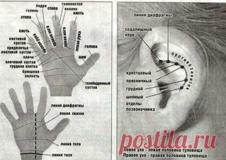 Помоги себе сам-самомассаж. | Познавательный сайт ,,1000 мелочей&quot;