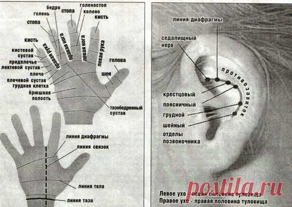Помоги себе сам-самомассаж. | Познавательный сайт ,,1000 мелочей"