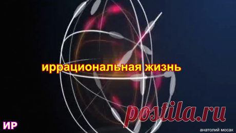 13 лучших еврейских анекдотов о деловых людях. | Иррациональная жизнь | Яндекс Дзен
