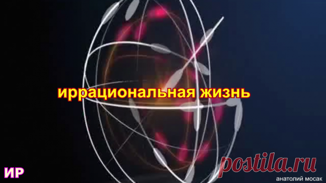 13 лучших еврейских анекдотов о деловых людях. | Иррациональная жизнь | Яндекс Дзен