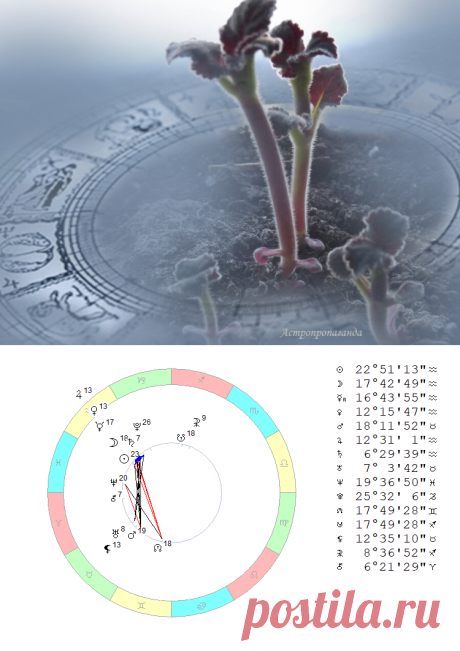 Еще один Новый год, теперь по восточному календарю. Гороскоп с 8 по 14 февраля 2021 | Астропропаганда | Яндекс Дзен
✨ Автор: астролог Нина Стрелкова. ✧ В четверг, 11 февраля 2021, в 22 ч. 05 мин. ожидается новолуние в знаке Водолея. С этого события начинается Новый год по восточному календарю. Да, снова придет тот самый Белый Бык, которого все уже встречали. Но если для кого принципиально следовать только старым традициям, можно встретить Новый год еще раз, уже с китайцами.