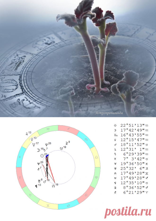 Еще один Новый год, теперь по восточному календарю. Гороскоп с 8 по 14 февраля 2021 | Астропропаганда | Яндекс Дзен
✨ Автор: астролог Нина Стрелкова. ✧ В четверг, 11 февраля 2021, в 22 ч. 05 мин. ожидается новолуние в знаке Водолея. С этого события начинается Новый год по восточному календарю. Да, снова придет тот самый Белый Бык, которого все уже встречали. Но если для кого принципиально следовать только старым традициям, можно встретить Новый год еще раз, уже с китайцами.