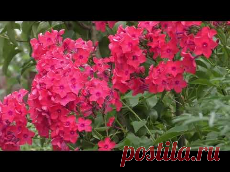 Легкая приятная музыка для ЖИЗНИ!!! Для ОТЛИЧНОГО настроения!!