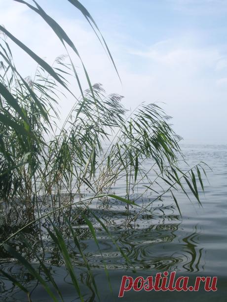 Ладожская вода