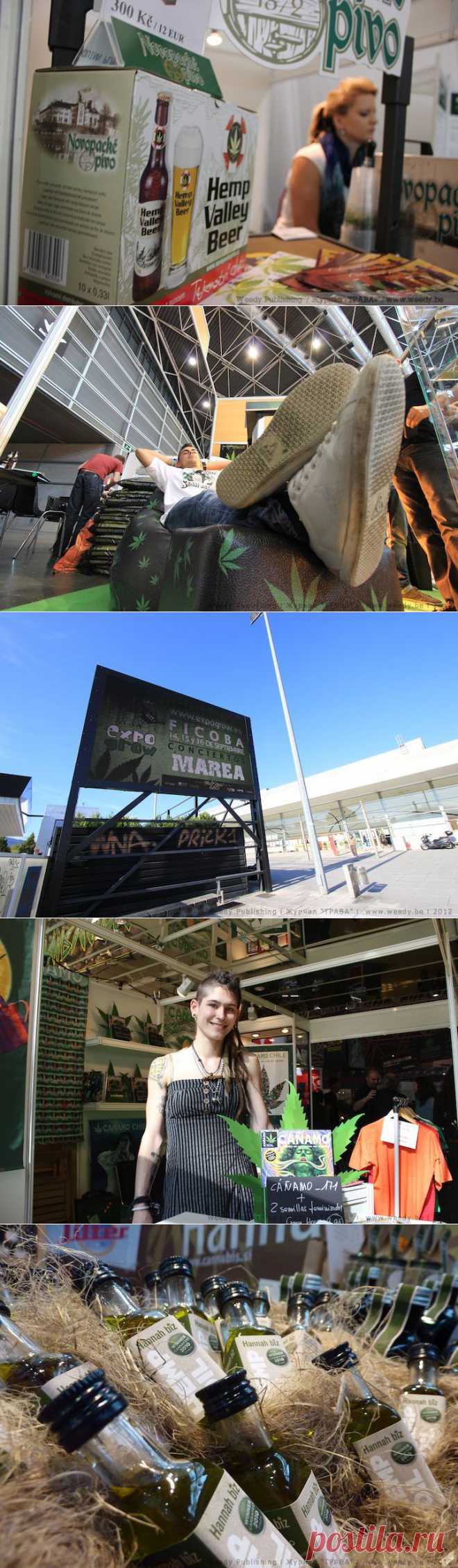 Конопляные выставки: фото конопли и не только