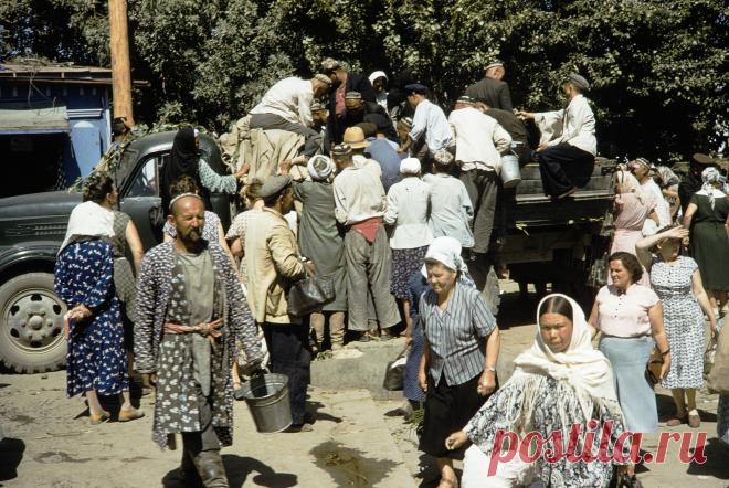 1959. Харрисон Форман в Самарканде. Часть 1: humus — ЖЖ