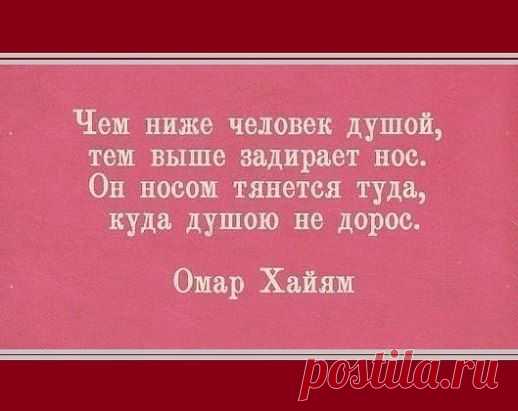 Лучше и точнее не скажешь!