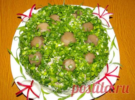 Салаты с картофелем и грибами, рецепты приготовления, фото и видео.
