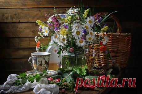 Ромашковое настроение