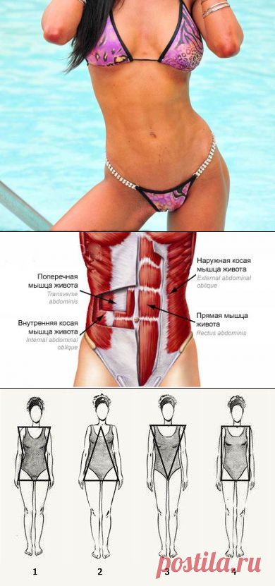 Какие упражнения для тонкой талии наиболее эффективны?
